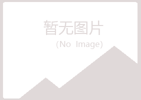 邳州初夏能源有限公司